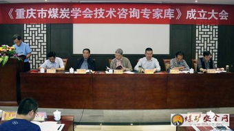 重慶煤炭學(xué)會(huì)聘請(qǐng)80名技術(shù)咨詢專家，為行業(yè)高質(zhì)量發(fā)展注入新動(dòng)能